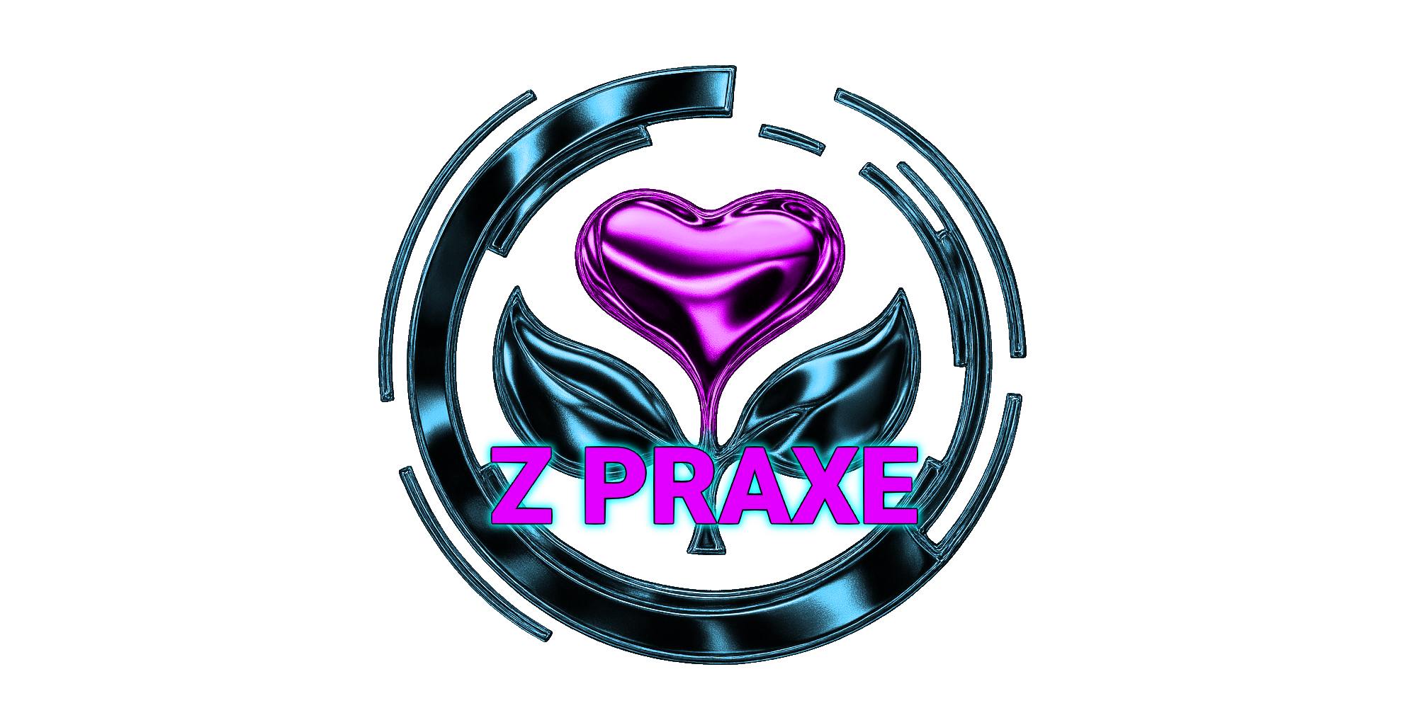 Z praxe