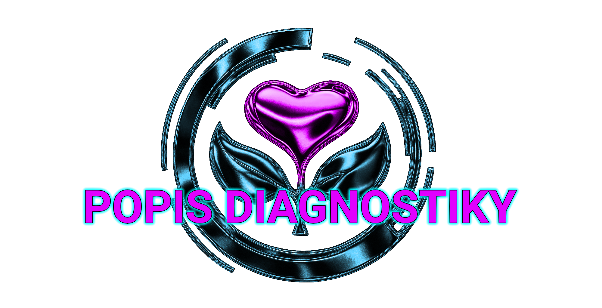 Popis diagnostiky